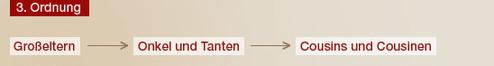 Grafische Darstellung der familiären Ordnung: Großeltern, Onkel, Tanten, Cousins und Cousinen.