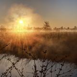 Sonnenaufgang über einem nebligen Moor mit schimmerndem Wasser und silhouettierten Pflanzen im Vordergrund.